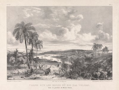 Campos Sur Les Bords du Rio Das Velhas af Richard Parkes Bonington