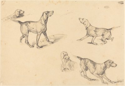 Fem undersøgelser af en fransk pointer af Richard Parkes Bonington