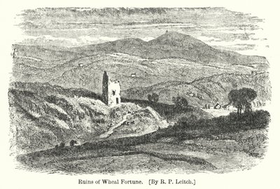 Ruins of Wheal Fortune (gravering) af Richard Principal (after) Leitch