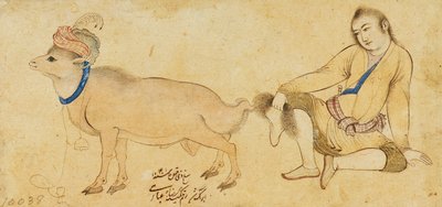 Studie af en ung mand og en vædder, 1630-31 eller senere af Riza i Abbasi