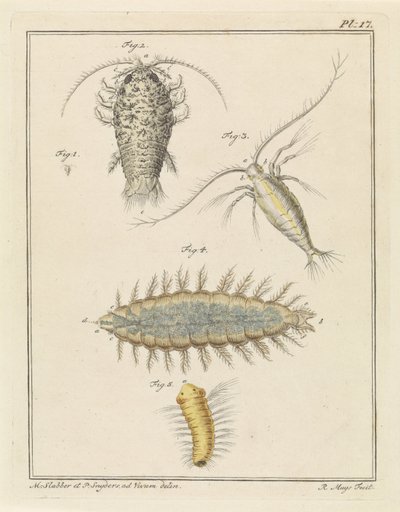 Agat skovlus, copepod og børsteorm af Robbert Muys