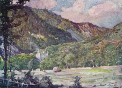 En hømark nær Portmadoc (farve litho) af Robert (after) Fowler
