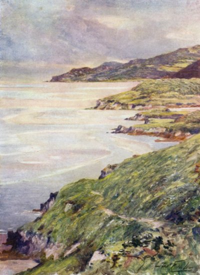 A Lonely Shore, Barmouth Estuary (farve litho) af Robert (after) Fowler