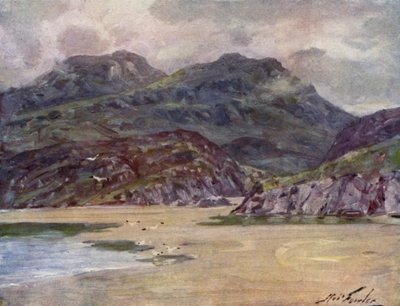 A Lonely Shore nær Deudraeth Peninsula (farve litho) af Robert (after) Fowler