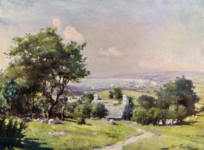 Fjernsyn over Carnarvon Bay (farve litho) af Robert (after) Fowler