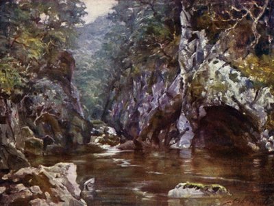 Fairy Glen, Bettws-y-Coed (farve litho) af Robert (after) Fowler