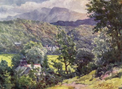 In the Woods, Farchynys, Barmouth Estuary (farve litho) af Robert (after) Fowler