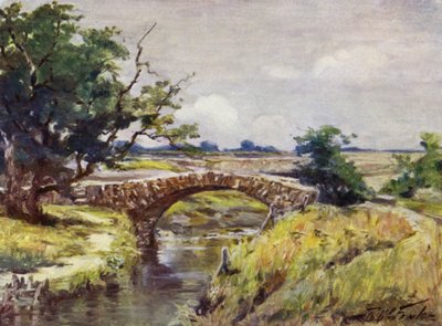 Old Roman Bridge, nær Swansea (farve litho) af Robert (after) Fowler