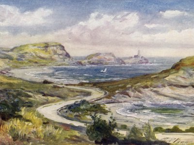 Udsigt nær Mumbles, Swansea (farve litho) af Robert (after) Fowler
