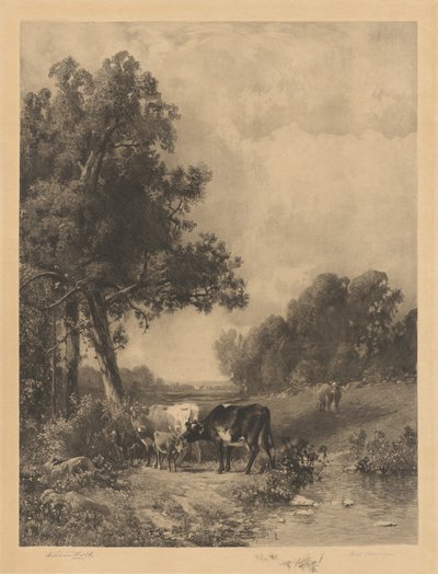 Uden titel (Køer og kalve ved en strøm) af Robert A. Eichelberger