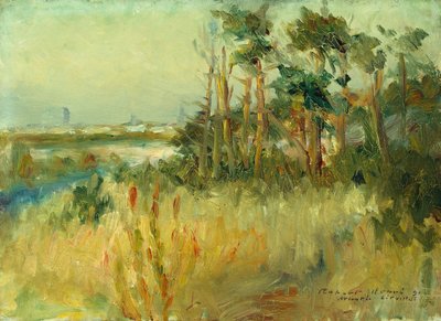 Atlantic City (olie på lærred) af Robert Cozad Henri