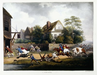 En gal Tyr, 1806 af Robert Dodd