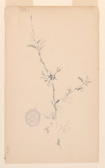 Bough af Robert Frederick Blum