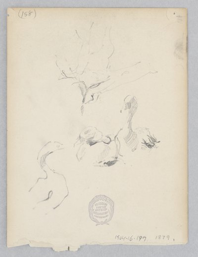 Ænder af Robert Frederick Blum