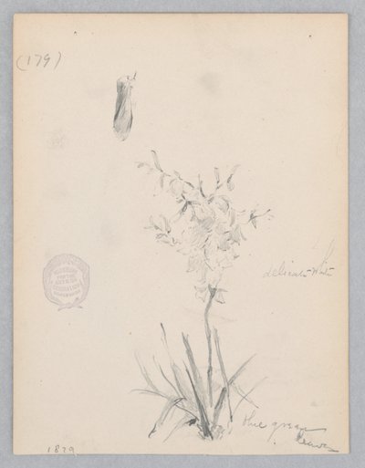 Blomstrende plante af Robert Frederick Blum