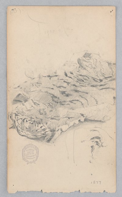 Tiger skin tæppe af Robert Frederick Blum