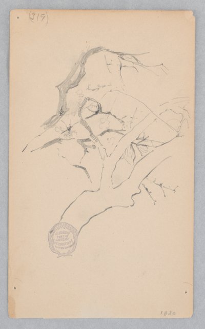 Trægren af Robert Frederick Blum