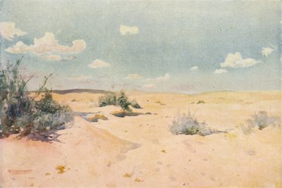 Et ørkenstudie ved Tel-El-Kebir, c1880, 1904 af Robert George Talbot Kelly