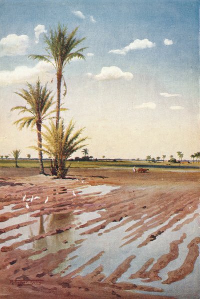 An Irrigated Field, c1880, 1904 af Robert George Talbot Kelly