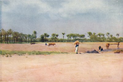 Esbet-El-Ekiad - Land of Goshen, c1880, 1904 af Robert George Talbot Kelly