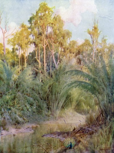 Påfuglens hjem af Robert George Talbot Kelly