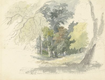 En Woodland Glade af Robert Hills