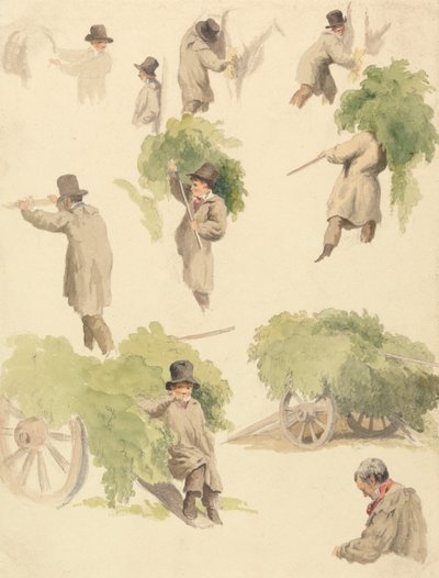 Carting humle og andre undersøgelser af Robert Hills