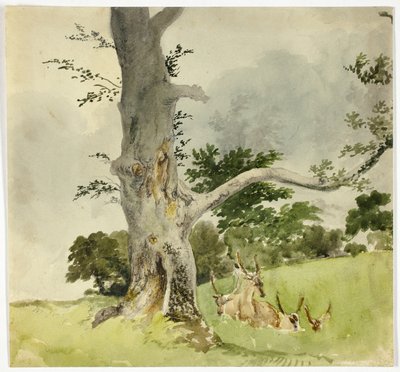 Hjortefamilie under et træ af Robert Hills