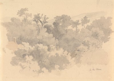 I Vaux, Jersey af Robert Hills