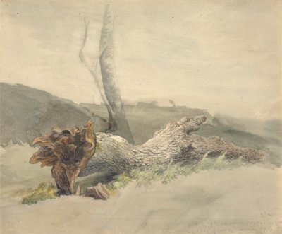 Det faldne træ af Robert Hills