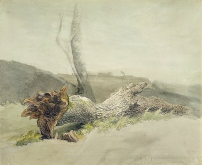The Fallen Tree, ca. 1804 (wc over grafit på vævet papir) af Robert Hills