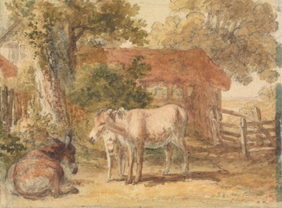 Tre æsler af Robert Hills