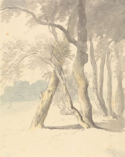 Skovstudie af Robert Hills