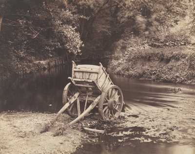 I Muldvarpens Dal, 1855. af Robert Howlett