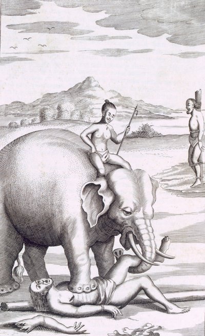 En henrettelse af en elefant, pub. 1681. af Robert Knox
