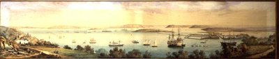 En panoramaudsigt over Cove of Cork af Robert L. Stopford
