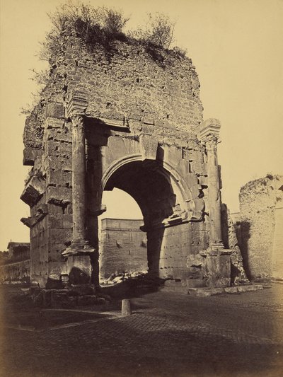[Drusus