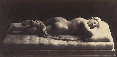 Hermafroditten, ca. 1861. af Robert MacPherson