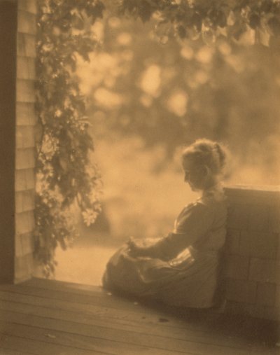 September Sun af Dwight A. Davis af Robert Peckham