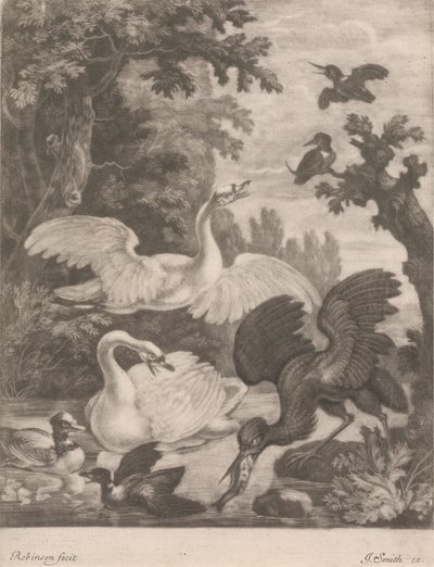 Vandfugle af Robert Robinson
