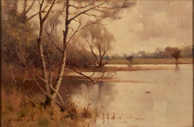 Silver Birch at the Lakeside (olie på lærred) af Robert Russell MacNee