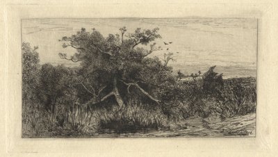 knudret træ af Robert Swain Gifford