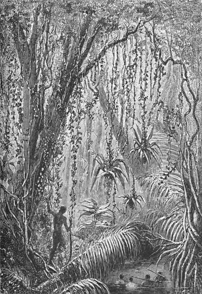 Brasiliansk skov, c1885 1890 af Robert Taylor Pritchett
