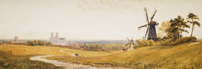 Beverley Minster af Robert Thorne Waite
