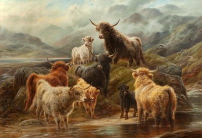 Highland Cattle, 1894 af Robert Watson