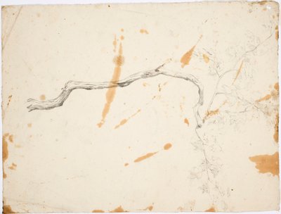 TEMA fra Italien: det løvfældende træ af Robert Wilhelm Ekman