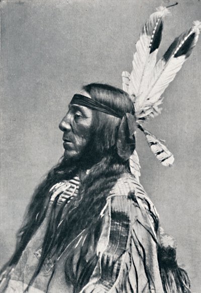 Profilbillede af en Sioux, 1912 af Robert Wilson Shufeldt