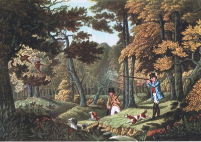 Fasanskydning nær Uxbridge, Nature i Storbritannien udgivet af Collins, 1946 af Robert the Elder Havell