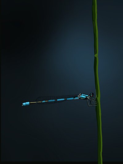 Damselfly, 2022 (digital) af Roberta Murray