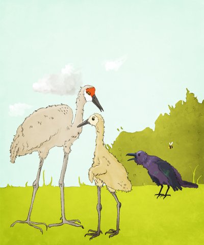 Gus Gus And The Corvid, 2020 (digital) af Roberta Murray
